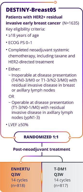 The DESTINY-Breast09 trial (N=1157), a head-to-head study of ENHERTU (n=383), THP: taxane for greater or equal to 6 cycles + trastuzumab + pertuzumab Q3W (n=387), and ENHERTU + placebo IQ Q3W (n=387)