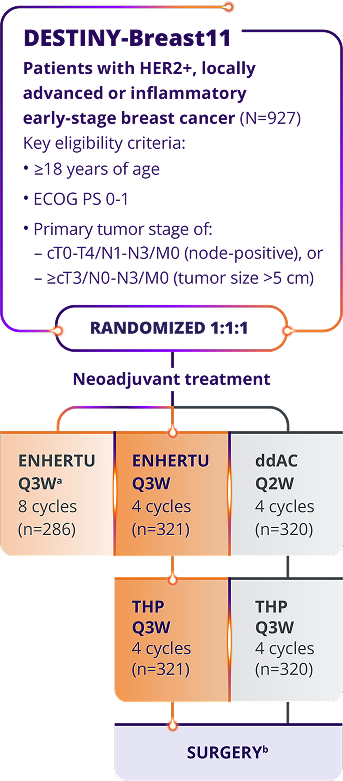 The DESTINY-Breast09 trial (N=1157), a head-to-head study of ENHERTU (n=383), THP: taxane for greater or equal to 6 cycles + trastuzumab + pertuzumab Q3W (n=387), and ENHERTU + placebo IQ Q3W (n=387)