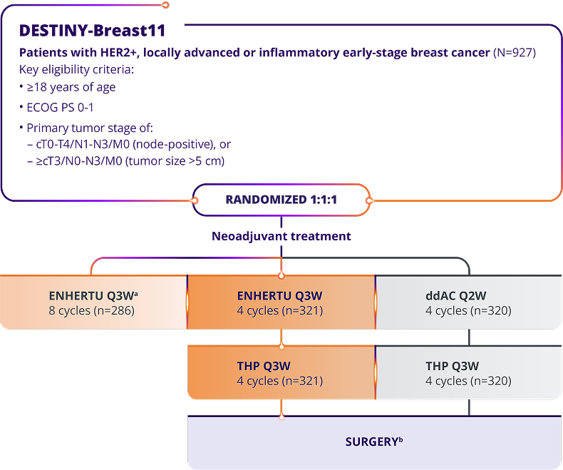 The DESTINY-Breast09 trial (N=1157), a head-to-head study of ENHERTU (n=383), THP: taxane for greater or equal to 6 cycles + trastuzumab + pertuzumab Q3W (n=387), and ENHERTU + placebo IQ Q3W (n=387)