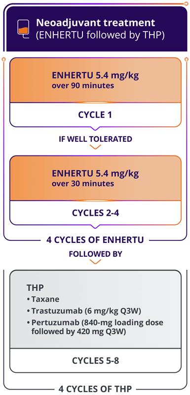 The DESTINY-Breast09 trial (N=1157), a head-to-head study of ENHERTU (n=383), THP: taxane for greater or equal to 6 cycles + trastuzumab + pertuzumab Q3W (n=387), and ENHERTU + placebo IQ Q3W (n=387)