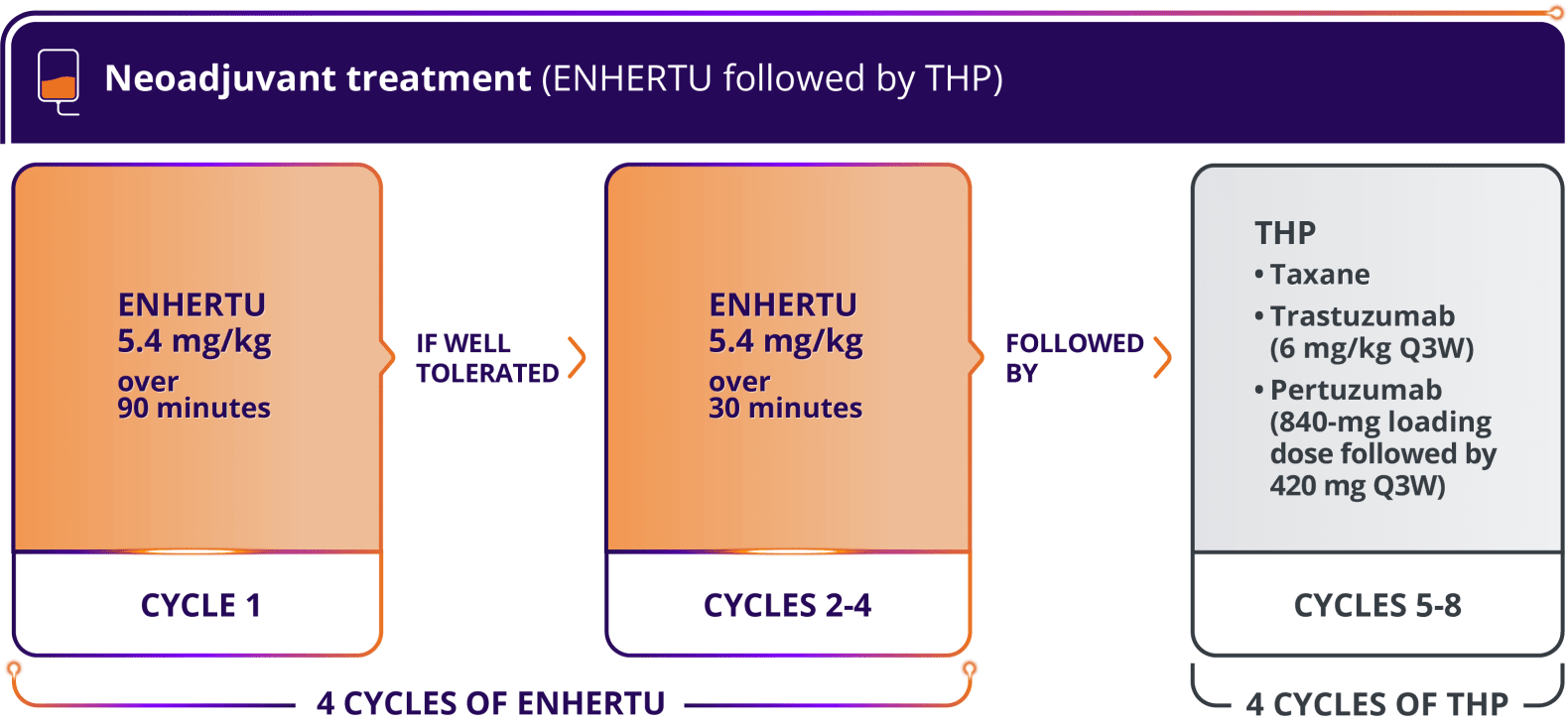 The DESTINY-Breast09 trial (N=1157), a head-to-head study of ENHERTU (n=383), THP: taxane for greater or equal to 6 cycles + trastuzumab + pertuzumab Q3W (n=387), and ENHERTU + placebo IQ Q3W (n=387)