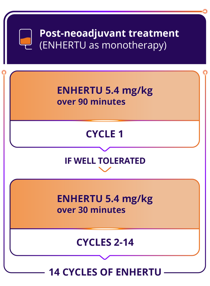 The DESTINY-Breast09 trial (N=1157), a head-to-head study of ENHERTU (n=383), THP: taxane for greater or equal to 6 cycles + trastuzumab + pertuzumab Q3W (n=387), and ENHERTU + placebo IQ Q3W (n=387)
