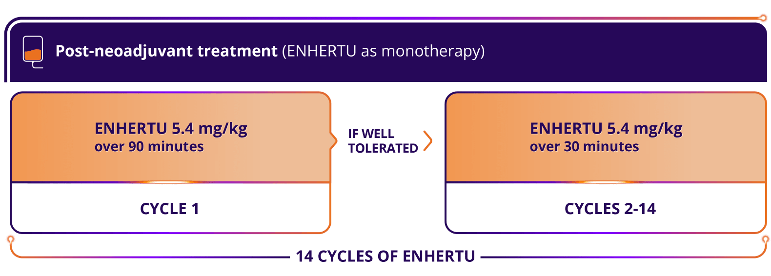The DESTINY-Breast09 trial (N=1157), a head-to-head study of ENHERTU (n=383), THP: taxane for greater or equal to 6 cycles + trastuzumab + pertuzumab Q3W (n=387), and ENHERTU + placebo IQ Q3W (n=387)