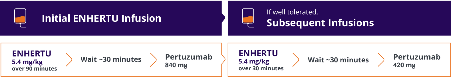 Initial ENHERTU infusion: ENHERTU 5.4 mg/kg over 30 minutes, wait 30 minutes, then pertuzumab 840 mg. If well-tolerated, subsequent infusions can use pertuzumab 420 mg.