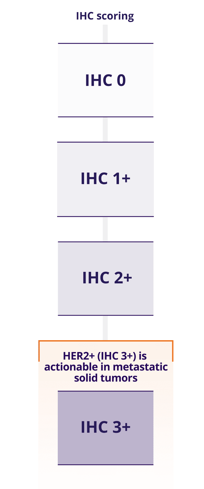 IHC scoring from IHC 0 – IHC 3+. HER2+ (IHC 3+) is actionable in metastatic solid tumors.