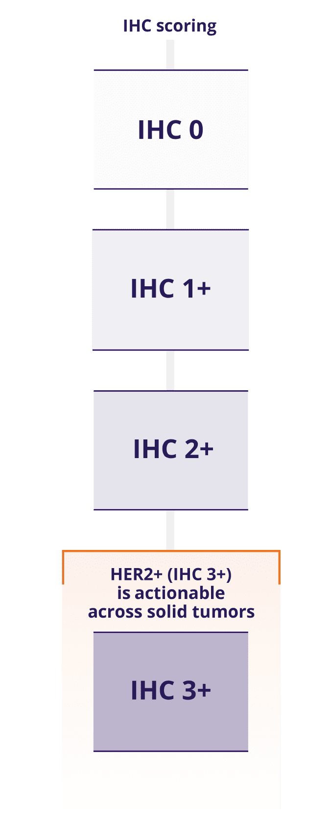 IHC scoring from IHC 0 – IHC 3+. HER2+ (IHC 3+) is actionable across solid tumors.