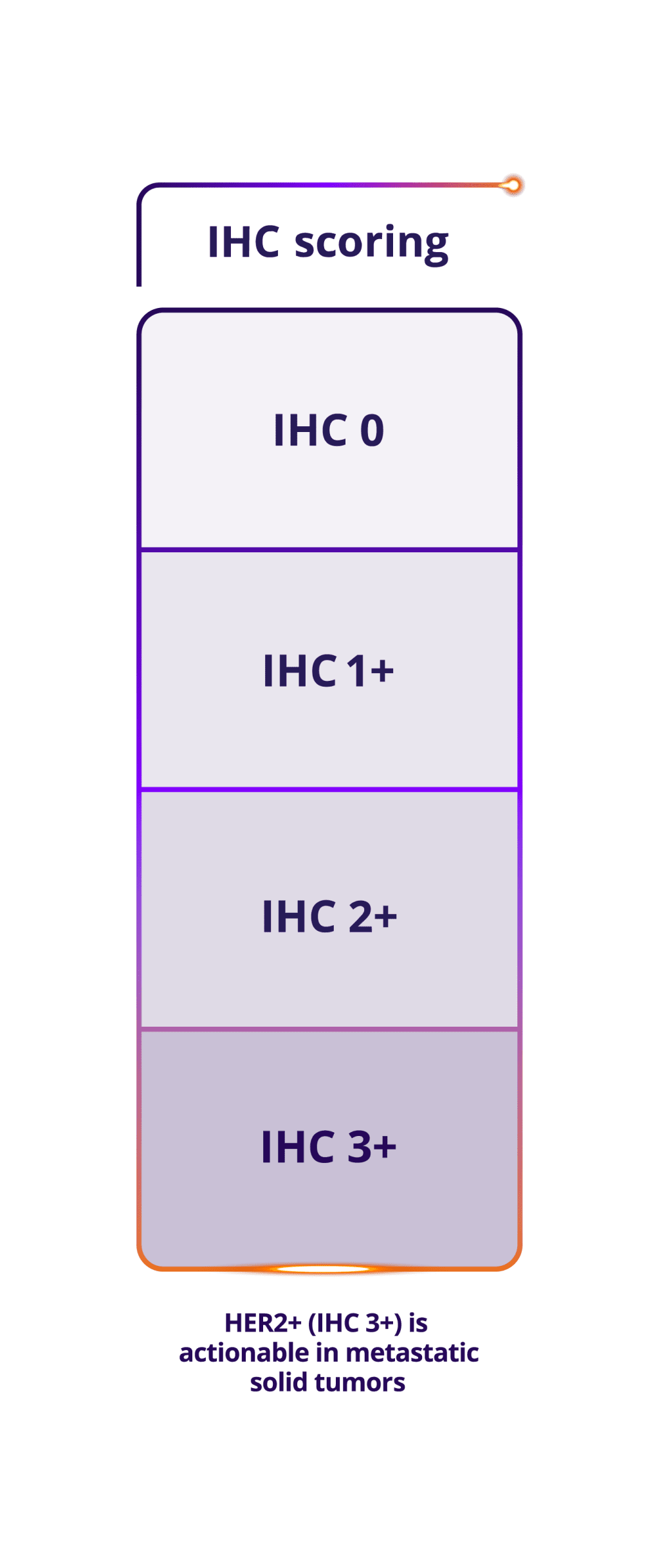 IHC scoring from IHC 0 – IHC 3+. HER2+ (IHC 3+) is actionable in metastatic solid tumors.