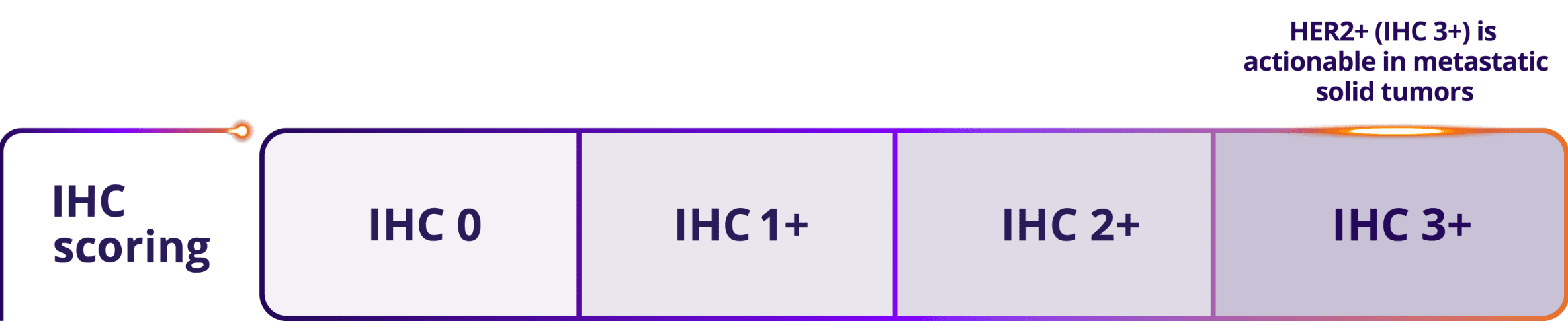 IHC scoring from IHC 0 – IHC 3+. HER2+ (IHC 3+) is actionable in metastatic solid tumors.