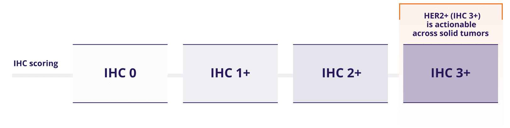 IHC scoring from IHC 0 – IHC 3+. HER2+ (IHC 3+) is actionable across solid tumors.
