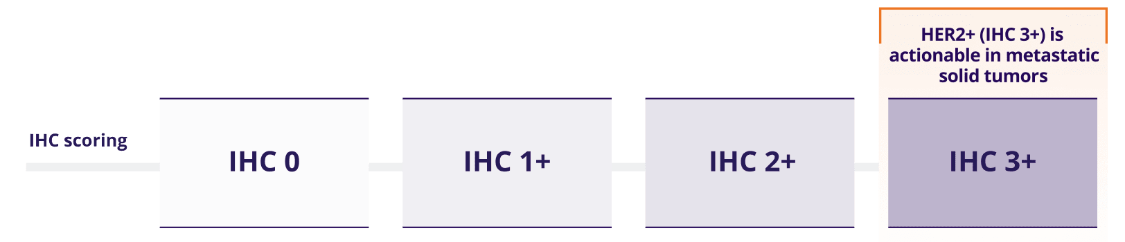 IHC scoring from IHC 0 – IHC 3+. HER2+ (IHC 3+) is actionable in metastatic solid tumors.