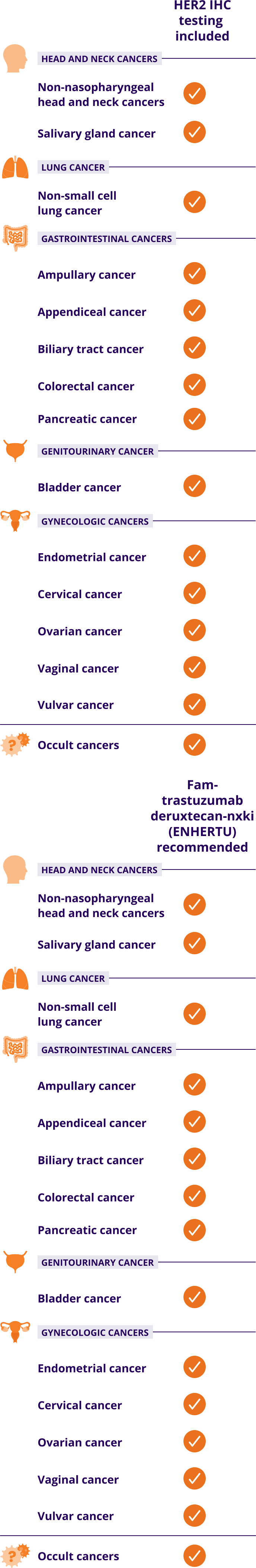 Fam-trastuzumab deruxtecan-nxki (ENHERTU) is recommended in NCCN Guidelines® across multiple metastatic solid tumors, including head and neck cancers: non-nasopharyngeal head and neck cancers, salivary gland cancer; lung cancer: non-small cell lung cancer; gastrointestinal cancers: ampullary cancer, appendiceal cancer, biliary tract cancer, colorectal cancer, pancreatic cancer; genitourinary cancer: bladder cancer; gynecologic cancers: endometrial cancer, cervical cancer, ovarian cancer, vaginal cancer, vulvar cancer; occult cancers.