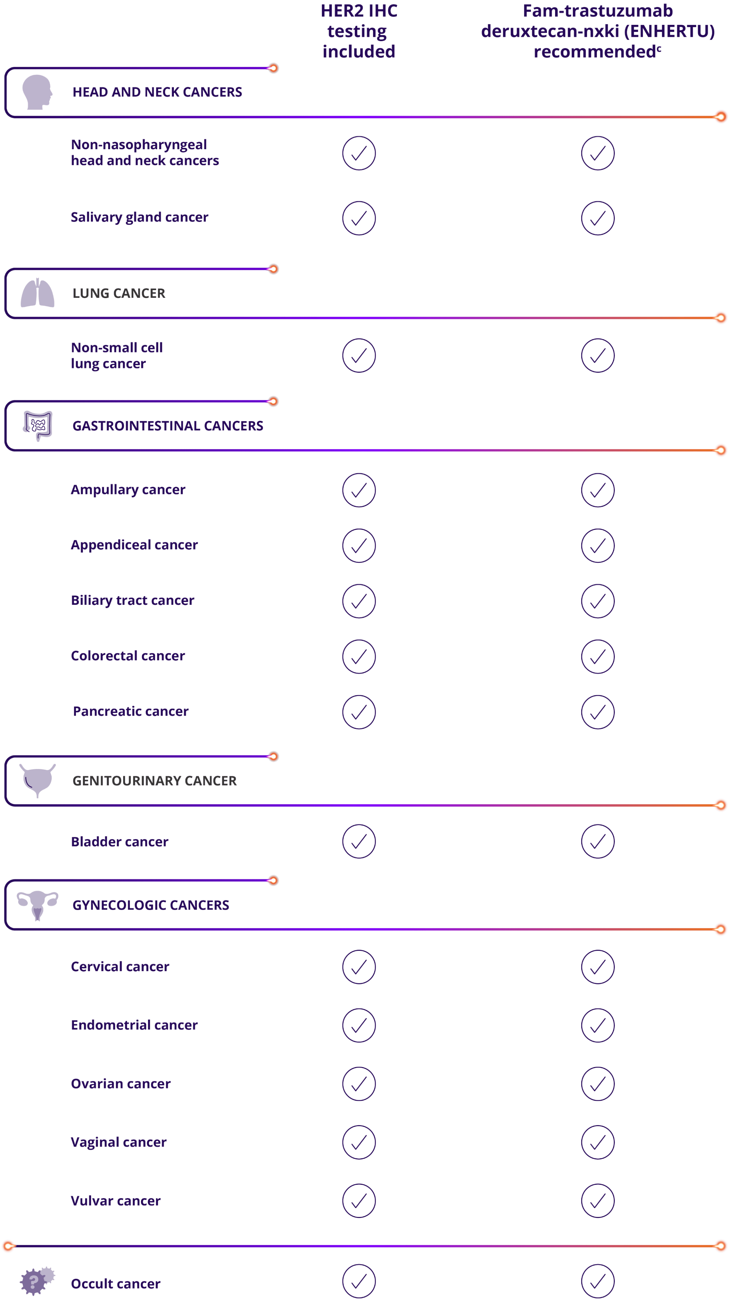 Fam-trastuzumab deruxtecan-nxki (ENHERTU) is recommended in NCCN Guidelines® across multiple metastatic solid tumors, including head and neck cancers: non-nasopharyngeal head and neck cancers, salivary gland cancer; lung cancer: non-small cell lung cancer; gastrointestinal cancers: ampullary cancer, appendiceal cancer, biliary tract cancer, colorectal cancer, pancreatic cancer; genitourinary cancer: bladder cancer; gynecologic cancers: endometrial cancer, cervical cancer, ovarian cancer, vaginal cancer, vulvar cancer; occult cancers.