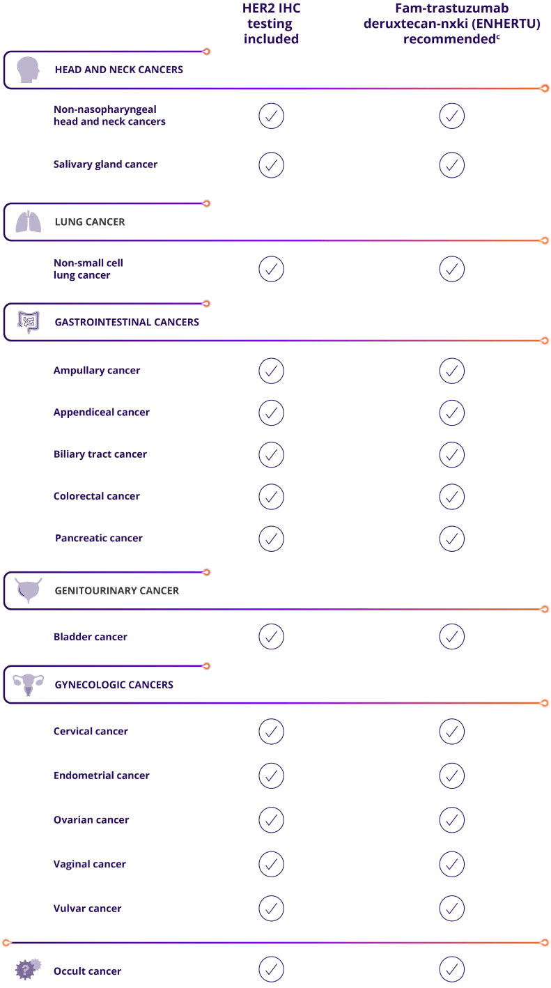Fam-trastuzumab deruxtecan-nxki (ENHERTU) is recommended in NCCN Guidelines® across multiple metastatic solid tumors, including head and neck cancers: non-nasopharyngeal head and neck cancers, salivary gland cancer; lung cancer: non-small cell lung cancer; gastrointestinal cancers: ampullary cancer, appendiceal cancer, biliary tract cancer, colorectal cancer, pancreatic cancer; genitourinary cancer: bladder cancer; gynecologic cancers: endometrial cancer, cervical cancer, ovarian cancer, vaginal cancer, vulvar cancer; occult cancers.