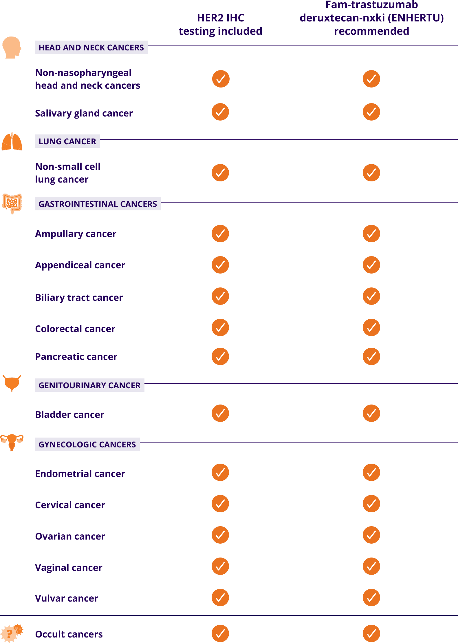 Fam-trastuzumab deruxtecan-nxki (ENHERTU) is recommended in NCCN Guidelines® across multiple metastatic solid tumors, including head and neck cancers: non-nasopharyngeal head and neck cancers, salivary gland cancer; lung cancer: non-small cell lung cancer; gastrointestinal cancers: ampullary cancer, appendiceal cancer, biliary tract cancer, colorectal cancer, pancreatic cancer; genitourinary cancer: bladder cancer; gynecologic cancers: endometrial cancer, cervical cancer, ovarian cancer, vaginal cancer, vulvar cancer; occult cancers.