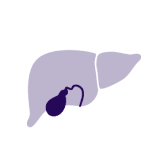 HER2+ (IHC 3+) prevalence by tumor type (biliary tract=4%-13%)