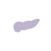 HER2+ (IHC 3+) prevalence by tumor type (pancreatic=1%-7%)