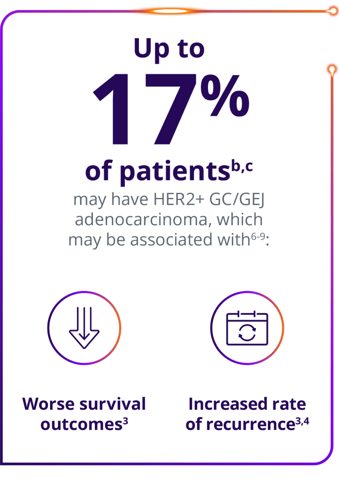 Up to 17% of patients may have HER2+ GC/GEJ adenocarcinoma, which may be associated with: worse survival outcomes and increased rate of recurrence