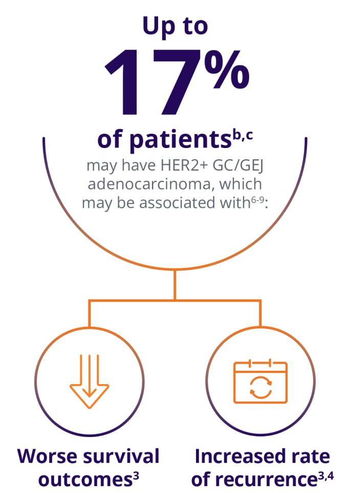 Up to 17% of patients may have HER2+ GC/GEJ adenocarcinoma, which may be associated with: worse survival outcomes and increased rate of recurrence
