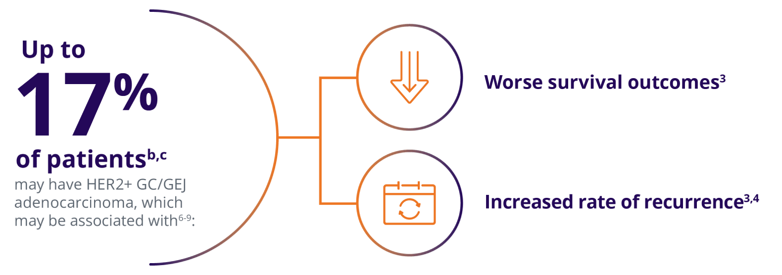 Up to 17% of patients may have HER2+ GC/GEJ adenocarcinoma, which may be associated with: worse survival outcomes and increased rate of recurrence