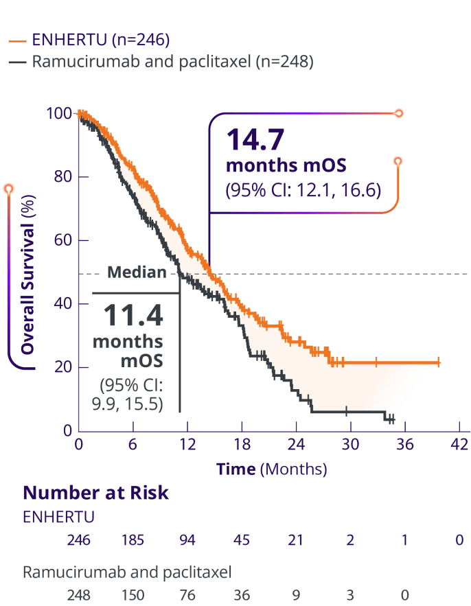 Overall survival of ENHERTU (14.7 months) vs ramucirumab and paclitaxel (11.4 months) from DESTINY-Gastric04