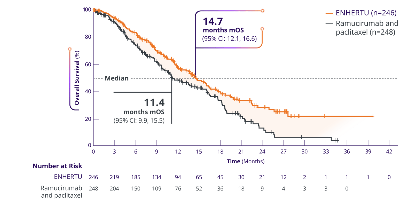 Overall survival of ENHERTU (14.7 months) vs ramucirumab and paclitaxel (11.4 months) from DESTINY-Gastric04