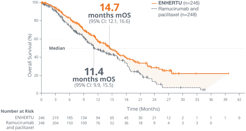 Overall survival of ENHERTU (14.7 months) vs ramucirumab and paclitaxel (11.4 months) from DESTINY-Gastric04