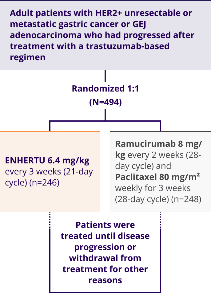 DESTINY-Gastric02 trial design in adult patients in the United States, Italy, United Kingdom, Belgium, and Spain, single arm (N=79), ENHERTU 6.4 mg/kg once every 3 weeks (21-day cycle), treated until disease progression or unacceptable toxicity