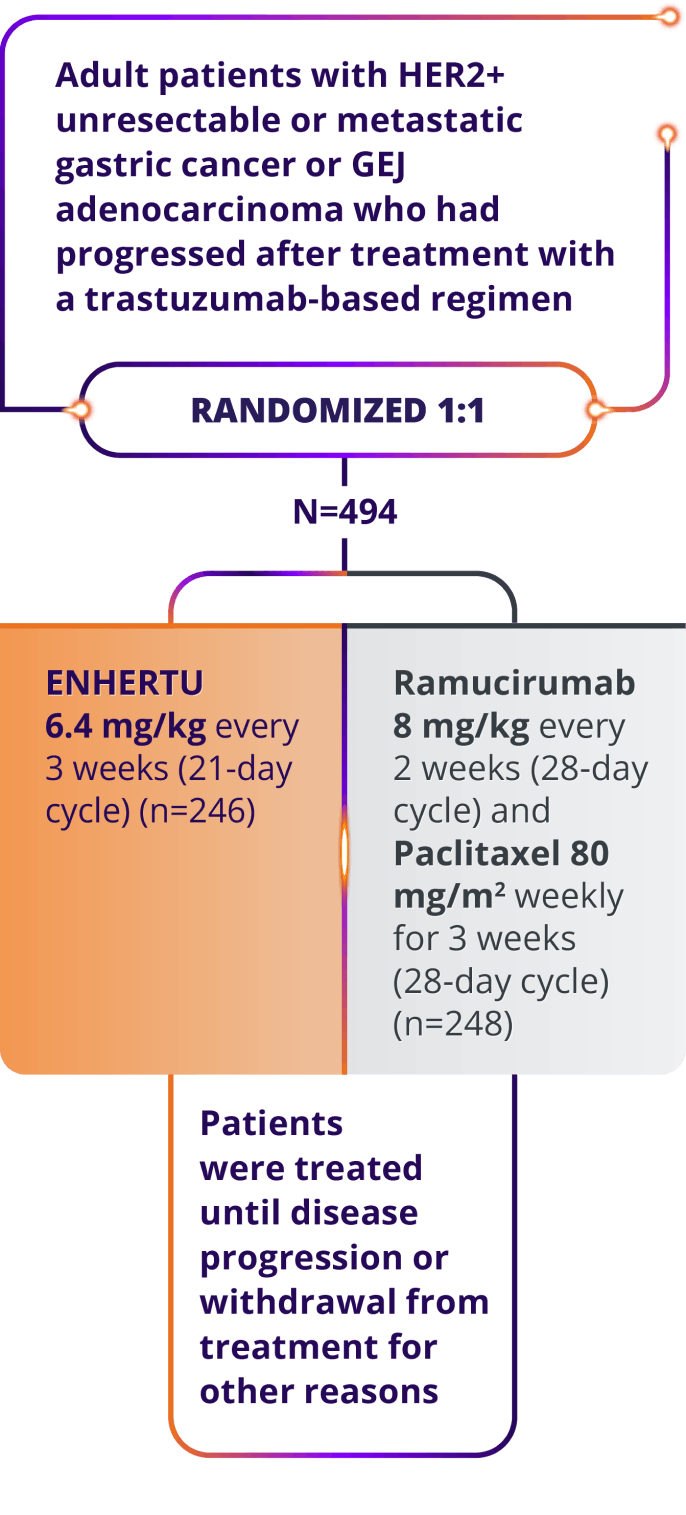 DESTINY-Gastric04 trial design in adult patients, randomized 1:1 (N=494), ENHERTU 6.4 mg/kg once every 3 weeks (21-day cycle)(n=246), ramucirumab 8 mg/kg every 2 weeks (28 day-cycle) and paclitaxel 80 mg/m2 weekly for 3 weeks (28 day-cycle)(n=248), treated until disease progression or withdrawal from treatment for other reasons
