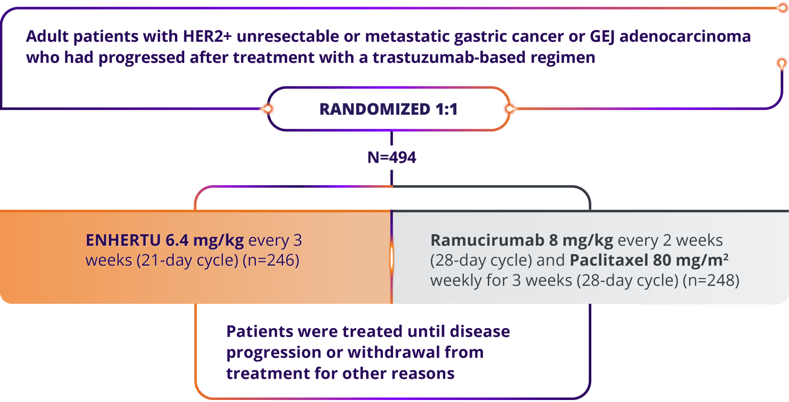 DESTINY-Gastric04 trial design in adult patients, randomized 1:1 (N=494), ENHERTU 6.4 mg/kg once every 3 weeks (21-day cycle)(n=246), ramucirumab 8 mg/kg every 2 weeks (28 day-cycle) and paclitaxel 80 mg/m2 weekly for 3 weeks (28 day-cycle)(n=248), treated until disease progression or withdrawal from treatment for other reasons