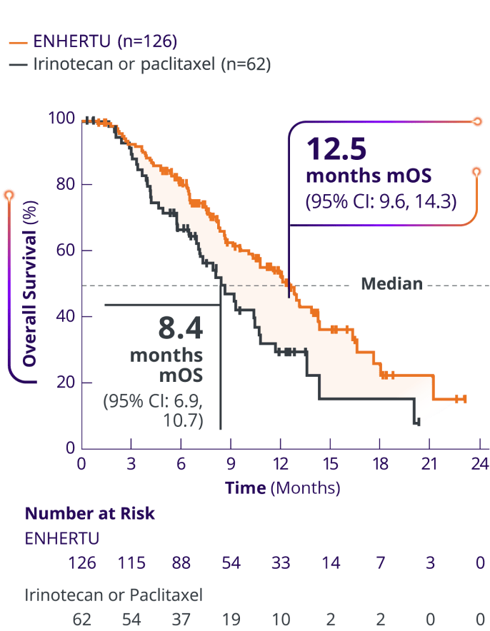 Superior overall survival of ENHERTU (12.5 months) vs irinotecan or paclitaxel (8.4 months) from DESTINY-Gastric01 