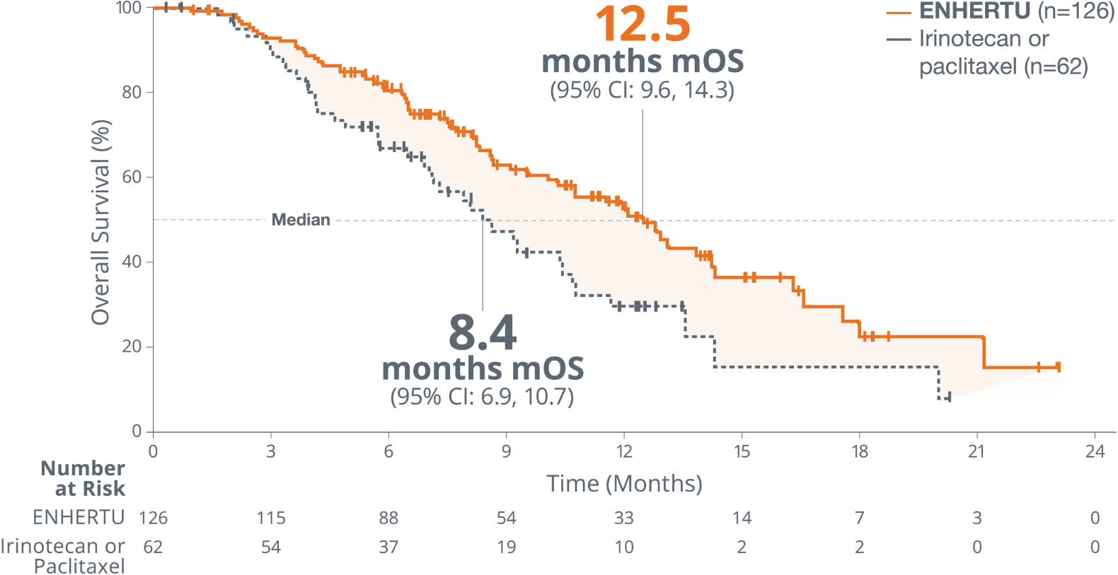 Superior overall survival of ENHERTU (12.5 months) vs irinotecan or paclitaxel (8.4 months) from DESTINY-Gastric01 