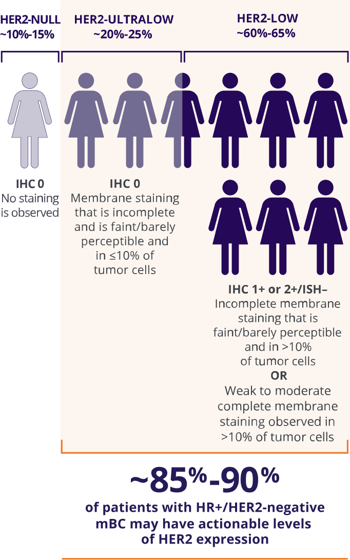 ˜Approximately 85%-90% of patients with HR+/HER2-negative mBC may have actionable levels of HER2 expression:  HER2-low (IHC 1+ or IHC 2+/ISH–) or HER2-ultralow (IHC 0 with membrane staining).