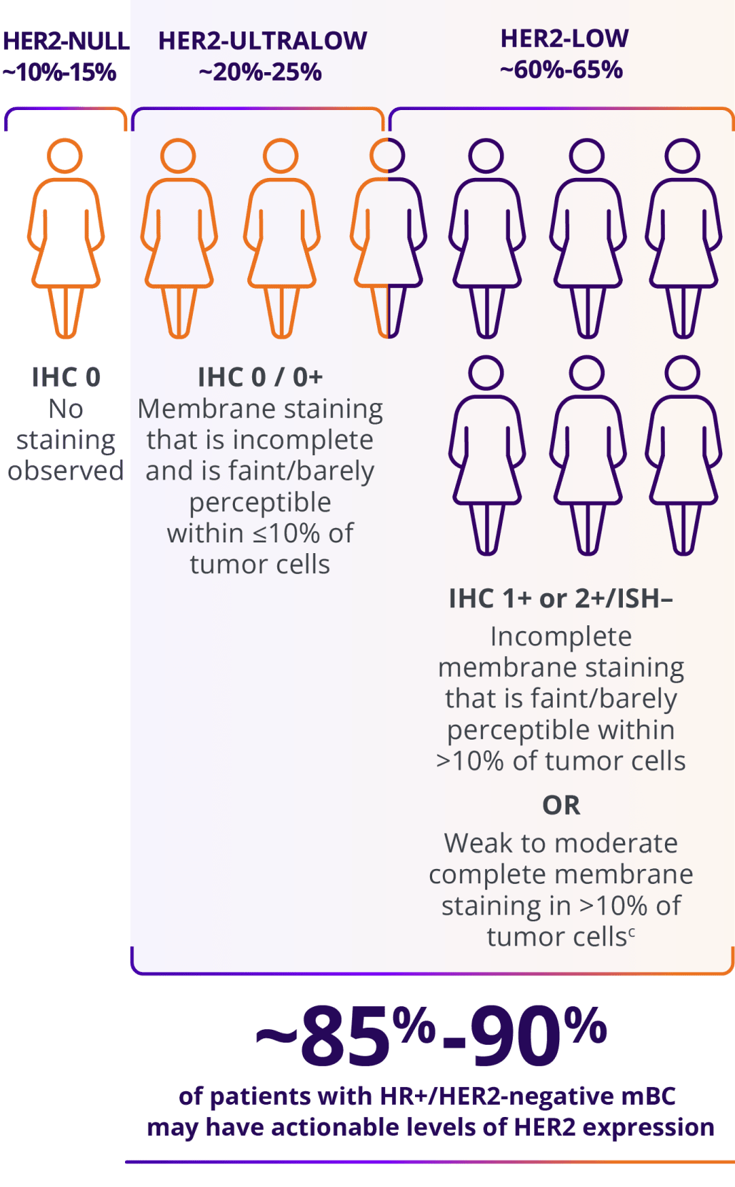 ˜Approximately 85%-90% of patients with HR+/HER2-negative mBC may have actionable levels of HER2 expression:  HER2-low (IHC 1+ or IHC 2+/ISH–) or HER2-ultralow (IHC 0 with membrane staining).