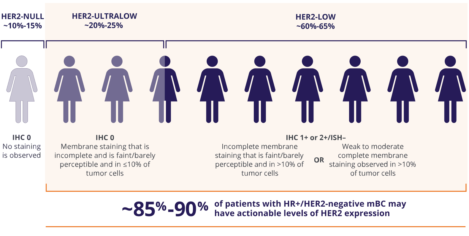 ˜Approximately 85%-90% of patients with HR+/HER2-negative mBC may have actionable levels of HER2 expression:  HER2-low (IHC 1+ or IHC 2+/ISH–) or HER2-ultralow (IHC 0 with membrane staining).