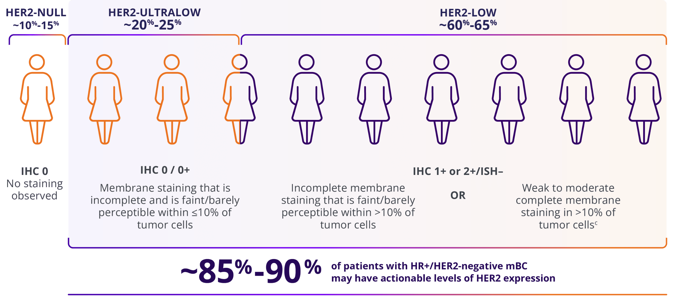 ˜Approximately 85%-90% of patients with HR+/HER2-negative mBC may have actionable levels of HER2 expression:  HER2-low (IHC 1+ or IHC 2+/ISH–) or HER2-ultralow (IHC 0 with membrane staining).