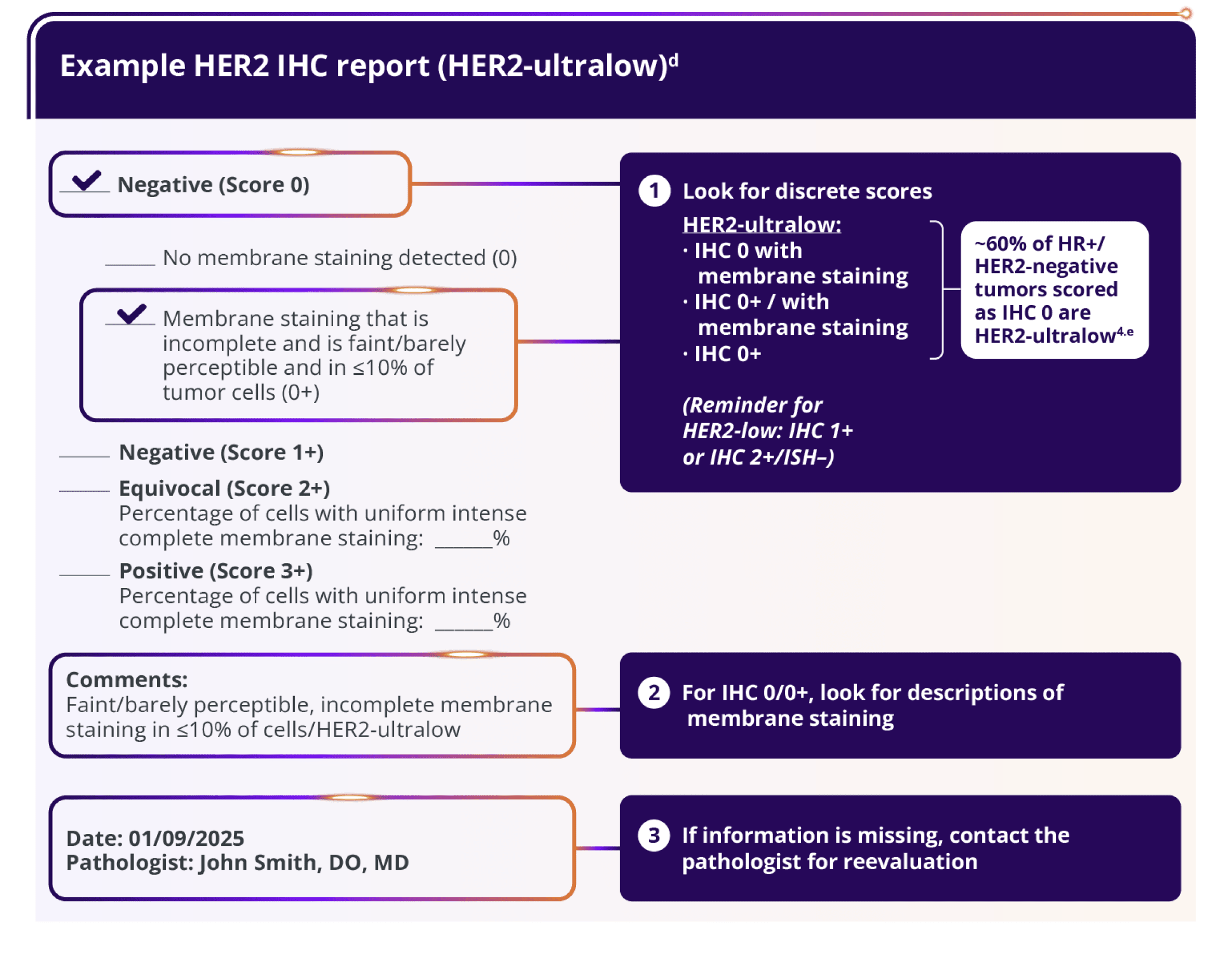 Bar chart depicting 62.6% ORR with ENHERTU and 34.4% ORR with chemotherapy in the overall study population, which included patients with HR+/HER2-low (IHC 1+ or IHC 2+/ISH–) or HER2-ultralow (IHC 0 with membrane staining) mBC