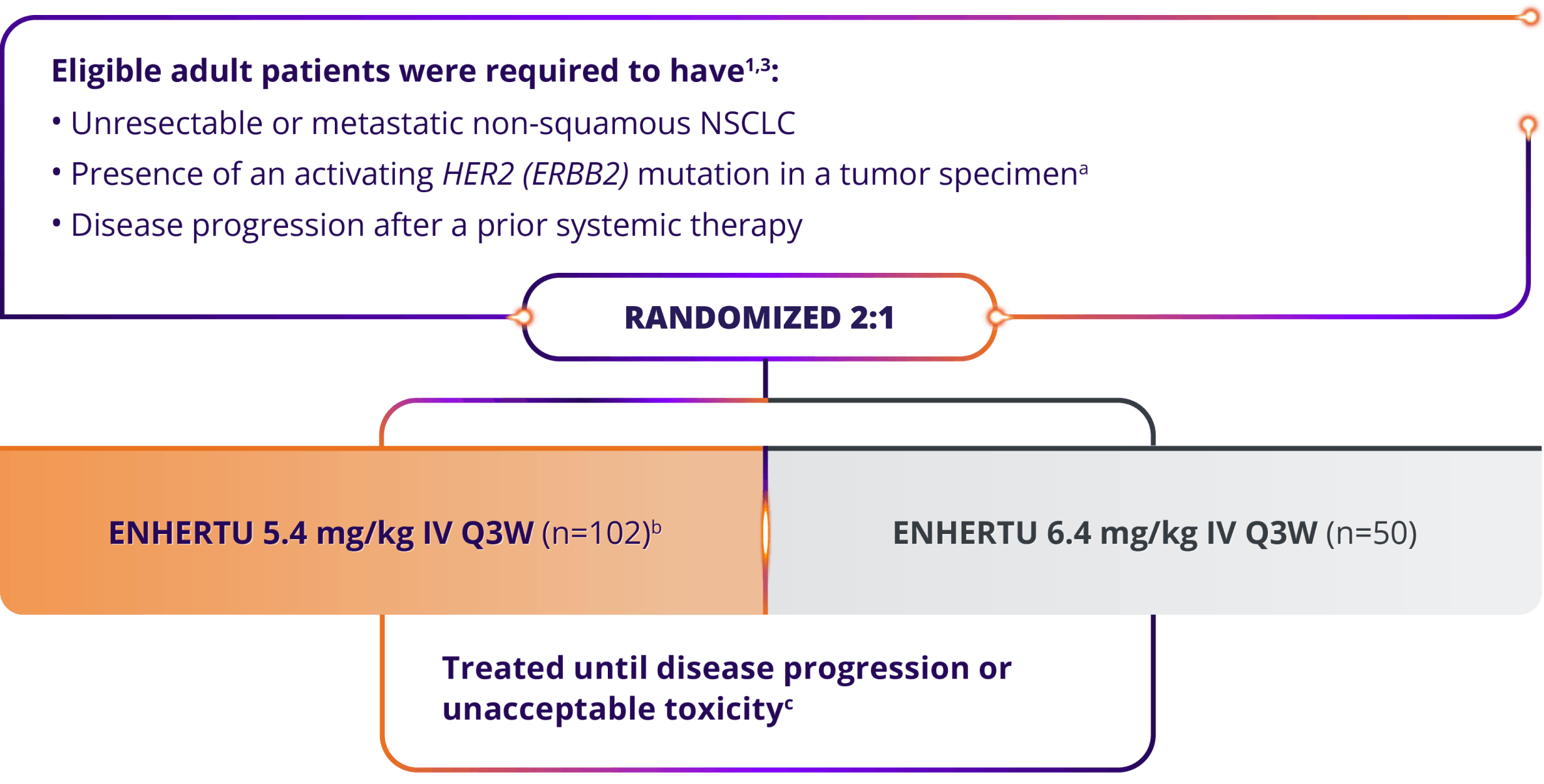 DESTINY-Lung02 trial design in eligible adult patients, randomized 2:1, ENHERTU 5.4 mg/kg IV Q3W (n=102), ENHERTU 6.4 mg/kg IV Q3W (n=50), treated until disease progression or unacceptable toxicity