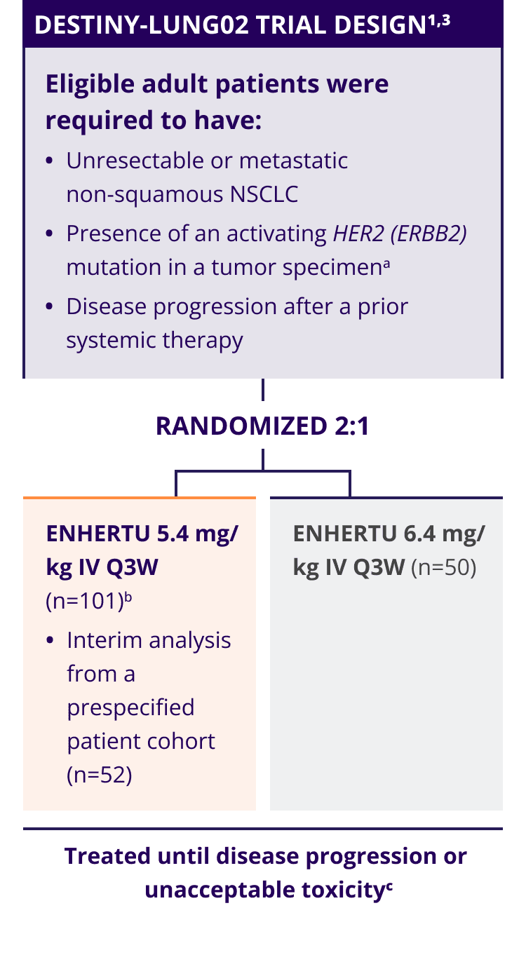 DESTINY-Lung02 trial design in eligible adult patients, randomized 2:1, ENHERTU 5.4 mg/kg IV Q3W (n=101), ENHERTU 6.4 mg/kg IV Q3W (n=50), treated until disease progression or unacceptable toxicity