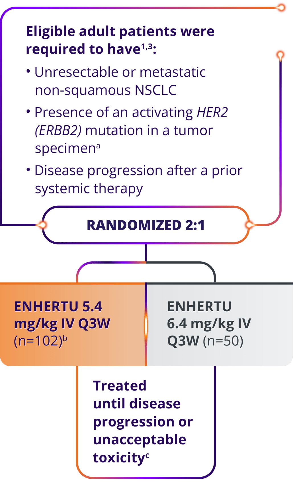 DESTINY-Lung02 trial design in eligible adult patients, randomized 2:1, ENHERTU 5.4 mg/kg IV Q3W (n=101), ENHERTU 6.4 mg/kg IV Q3W (n=50), treated until disease progression or unacceptable toxicity