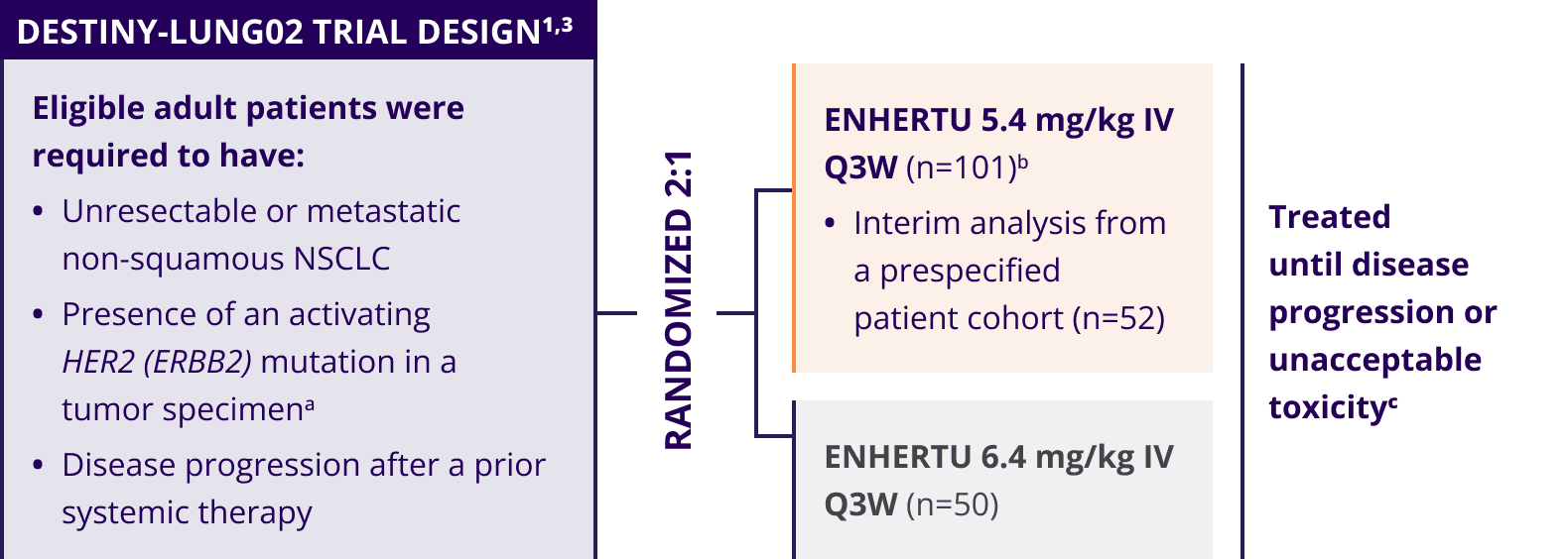 DESTINY-Lung02 trial design in eligible adult patients, randomized 2:1, ENHERTU 5.4 mg/kg IV Q3W (n=101), ENHERTU 6.4 mg/kg IV Q3W (n=50), treated until disease progression or unacceptable toxicity