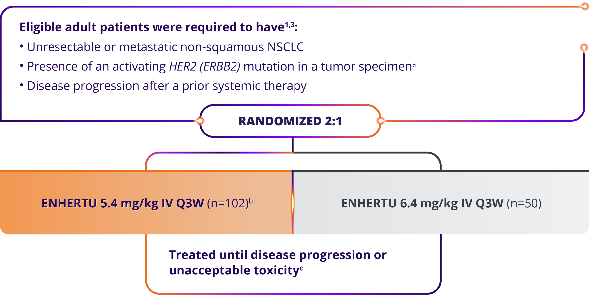 DESTINY-Lung02 trial design in eligible adult patients, randomized 2:1, ENHERTU 5.4 mg/kg IV Q3W (n=101), ENHERTU 6.4 mg/kg IV Q3W (n=50), treated until disease progression or unacceptable toxicity