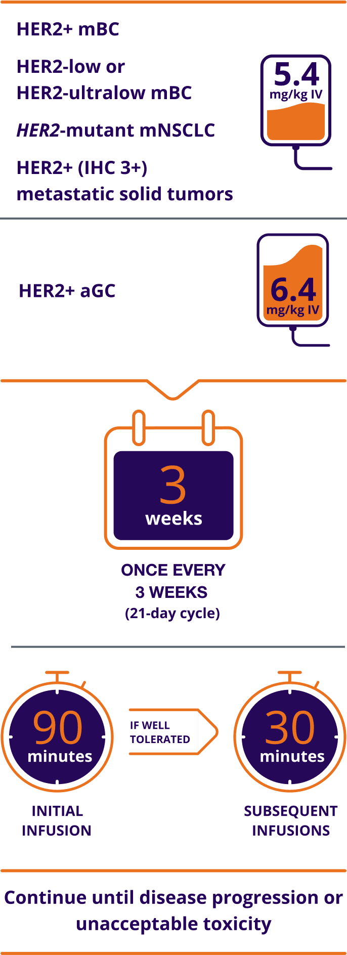 Dosing schedule for ENHERTU. 5.4 mg/kg IV for HER2+ mBC, HER2-low or HER2-ultralow mBC, HER2-mutant mNSCLC, and HER2+ (IHC 3+) metastatic solid tumors; 6.4 mg/kg IV for HER2+ aGC. Once every 3 weeks (21-day cycle). 90 minutes initial infusion; if well tolerated, 30 minutes subsequent infusions. Continue until disease progression or unacceptable toxicity.