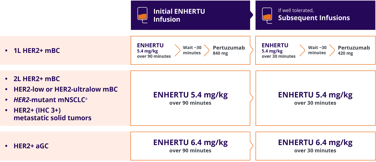 Dosing schedule for ENHERTU. 5.4 mg/kg IV for HER2+ mBC, HER2-low or HER2-ultralow mBC, HER2-mutant mNSCLC, and HER2+ (IHC 3+) metastatic solid tumors; 6.4 mg/kg IV for HER2+ aGC. Once every 3 weeks (21-day cycle). 90 minutes initial infusion; if well tolerated, 30 minutes subsequent infusions. Continue until disease progression or unacceptable toxicity.