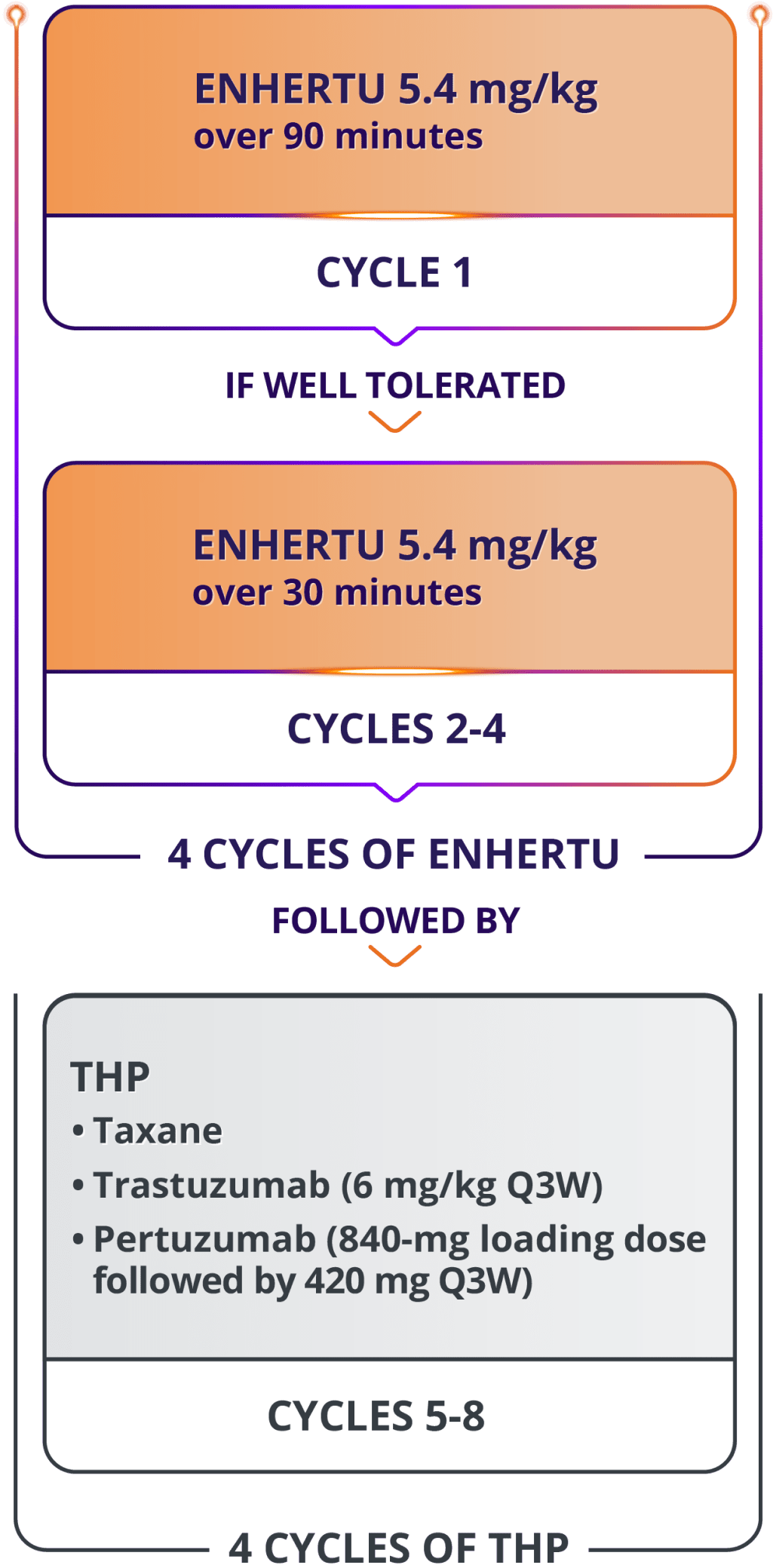 Cycle 1 of ENHERTU infusion for neoadjuvant HER2+ eBC: 5.4 mg/kg over 90 minutes. If well tolerated, cycles 2-4: 5.4 mg/kg over 30 minutes. This total of 4 cycles of ENHERTU is followed by 4 cycles of THP (cycles 5-8): a taxane, trastuzumab (6 mg/kg every 3 weeks [Q3W]), and pertuzumab (840-mg loading dose followed by 420 mg every 3 weeks [Q3W]).