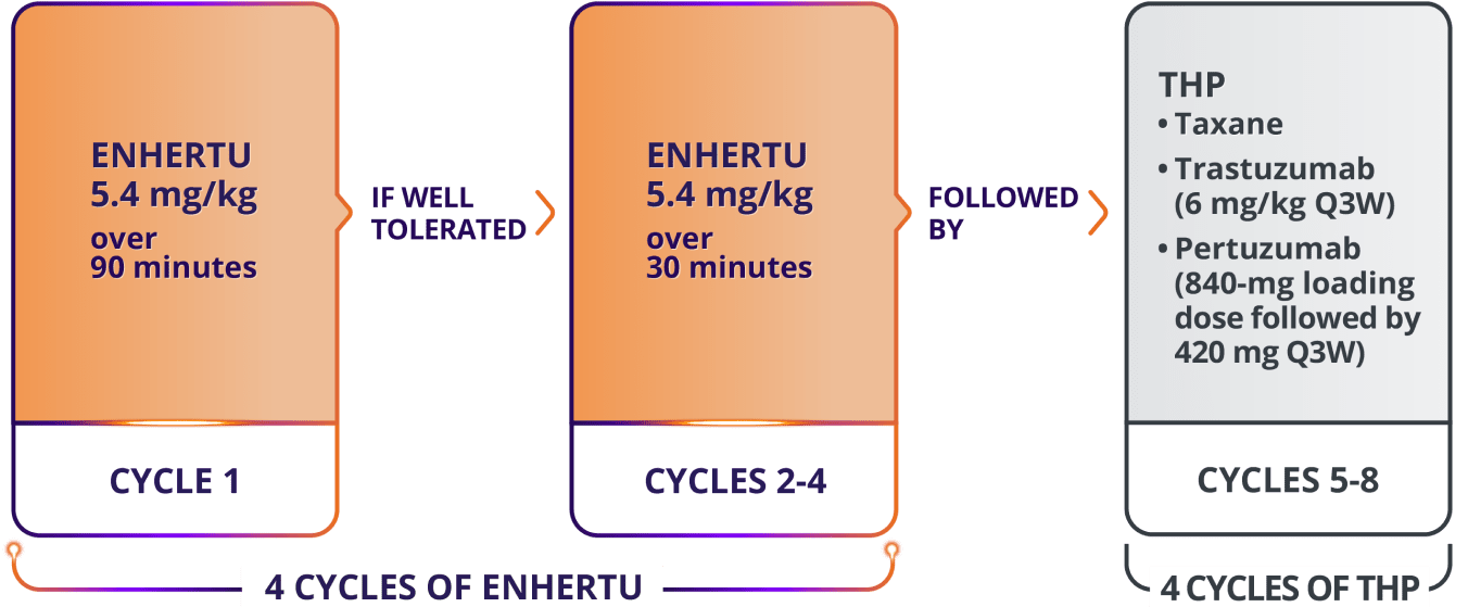 Cycle 1 of ENHERTU infusion for neoadjuvant HER2+ eBC: 5.4 mg/kg over 90 minutes. If well tolerated, cycles 2-4: 5.4 mg/kg over 30 minutes. This total of 4 cycles of ENHERTU is followed by 4 cycles of THP (cycles 5-8): a taxane, trastuzumab (6 mg/kg every 3 weeks [Q3W]), and pertuzumab (840-mg loading dose followed by 420 mg every 3 weeks [Q3W]).