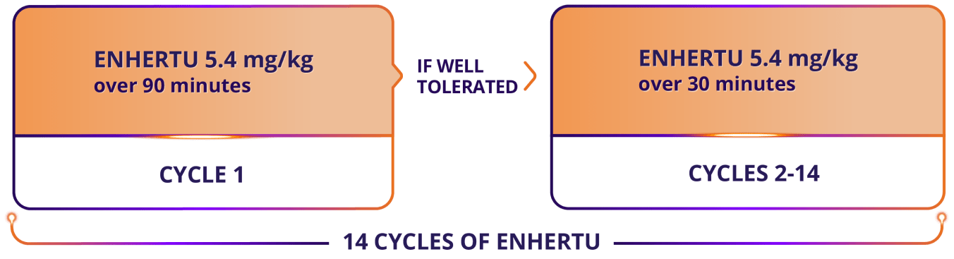 Cycle 1 of ENHERTU infusion for post-neoadjuvant HER2+ eBC: 5.4 mg/kg over 90 minutes. If well tolerated, cycles 2-14: 5.4 mg/kg over 30 minutes (14 total cycles of ENHERTU).