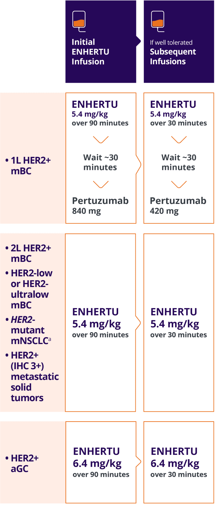 Initial ENHERTU infusion for 1L HER2+ mBC: 5.4 mg/kg over 90 minutes, wait ~30 minutes, then pertuzumab 840 mg. If well tolerated, subsequent infusions: 5.4 mg/kg over 30 minutes, wait ~30 minutes, then pertuzumab 420 mg. Initial ENHERTU infusion for 2L HER2+ mBC, HER2-low or HER2-ultralow mBC, HER2-mutant mNSCLC, and HER2+ (IHC 3+) metastatic solid tumors: 5.4 mg/kg over 90 minutes. If well tolerated, subsequent infusions: 5.4 mg/kg over 30 minutes. Initial ENHERTU infusion for HER2+ aGC: 6.4 mg/kg over 90 minutes. If well tolerated, subsequent infusions: 6.4 mg/kg over 30 minutes.