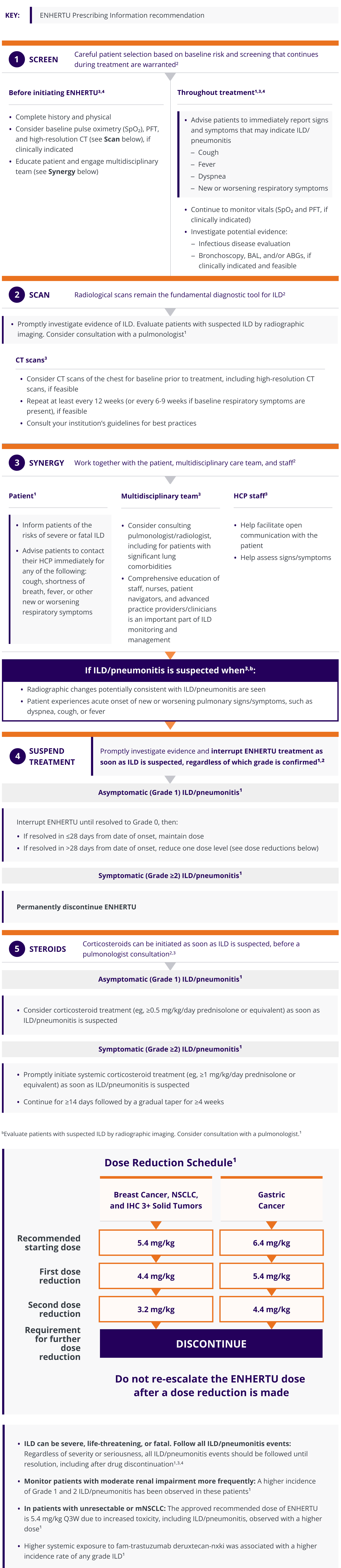 The ENHERTU ILD/pneumonitis treatment algorithm, consisting of: 1) Screen 2) Scan 3) Synergy 4) Suspend Treatment 5) Steroids, and dose reduction schedule based on indication