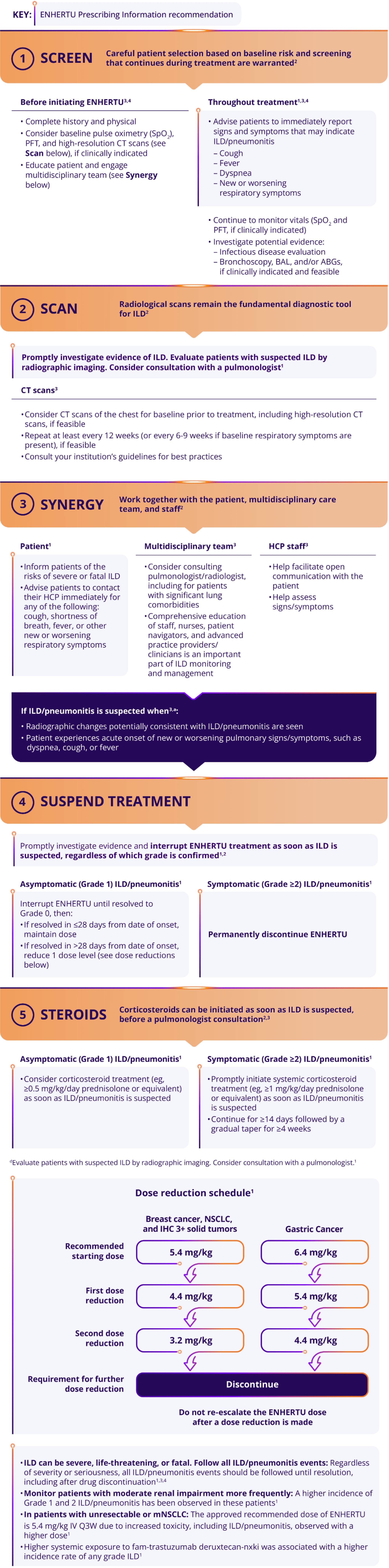 The ENHERTU ILD/pneumonitis treatment algorithm, consisting of: 1) Screen 2) Scan 3) Synergy 4) Suspend Treatment 5) Steroids, and dose reduction schedule based on indication