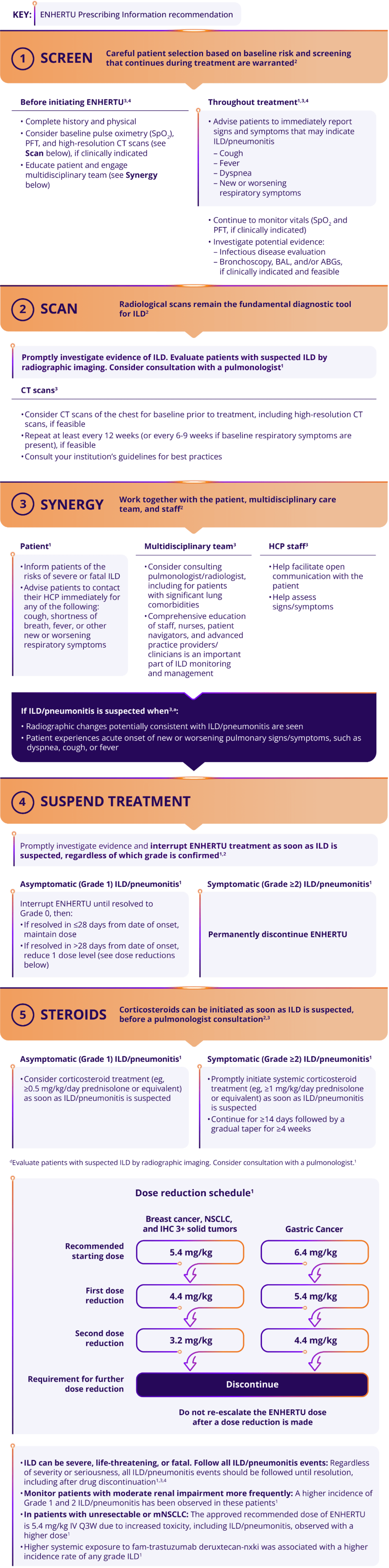 The ENHERTU ILD/pneumonitis treatment algorithm, consisting of: 1) Screen 2) Scan 3) Synergy 4) Suspend Treatment 5) Steroids, and dose reduction schedule based on indication